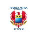 fuerza aerea